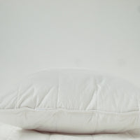 Silk Lined Pillow Special Offer: Get a Free Silk Eye Mask with Each Pillow Purchased!
