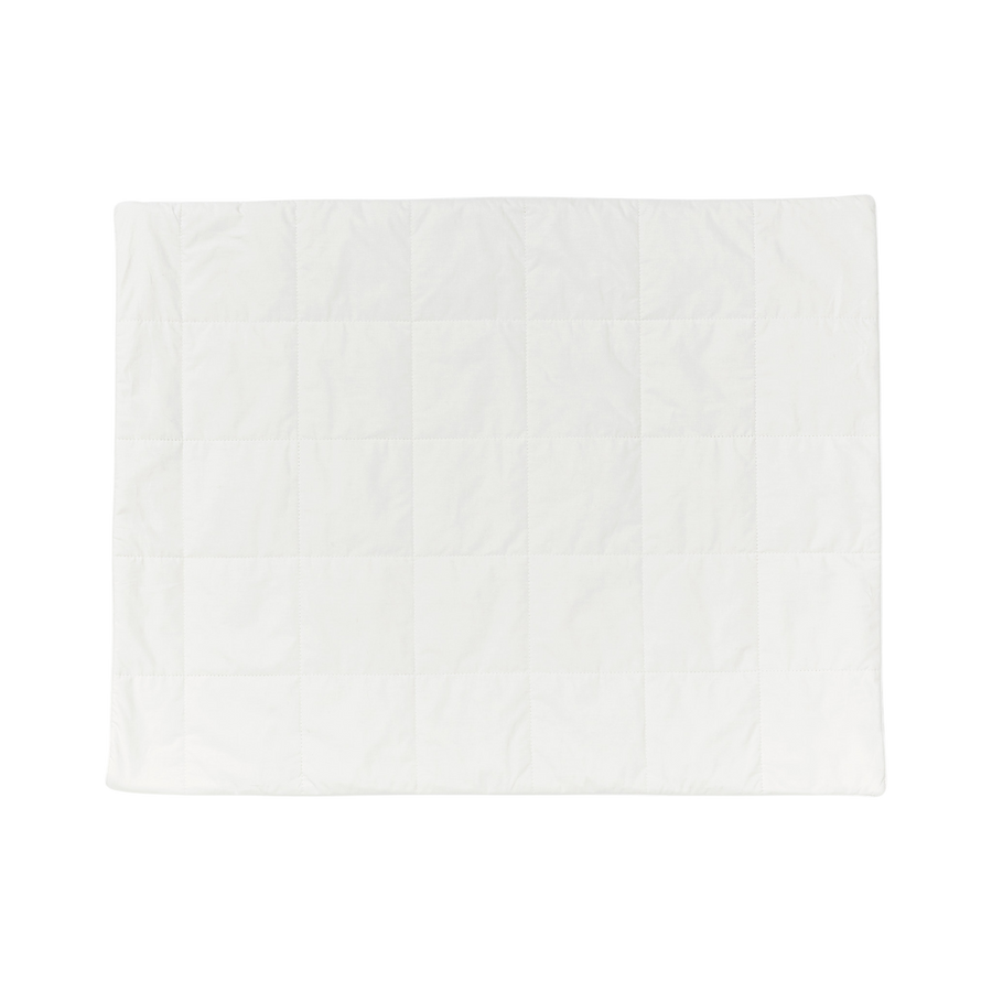 Silk Lined Pillow Protector | Set of two | Special Offer