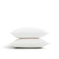 Silk Lined Travel Pillow | Set of two