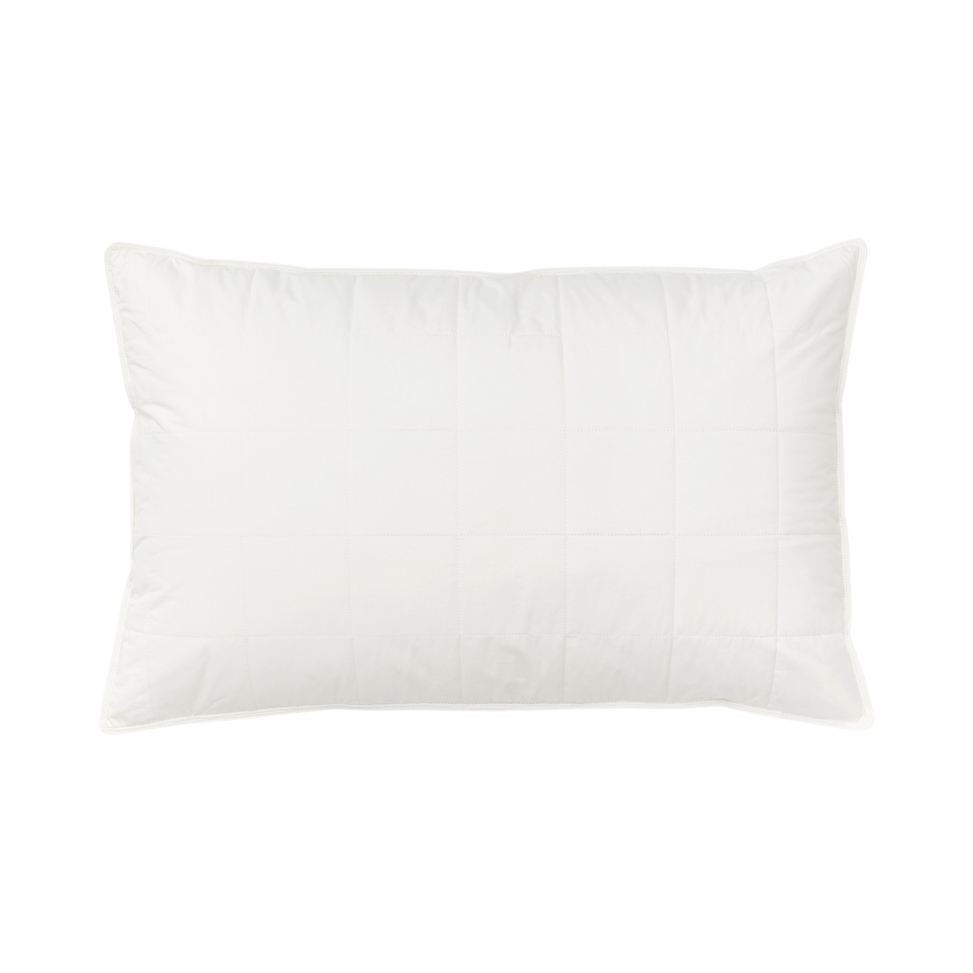 Silk Lined Pillow