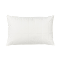 Silk Lined Pillow