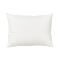 Silk Lined Pillow